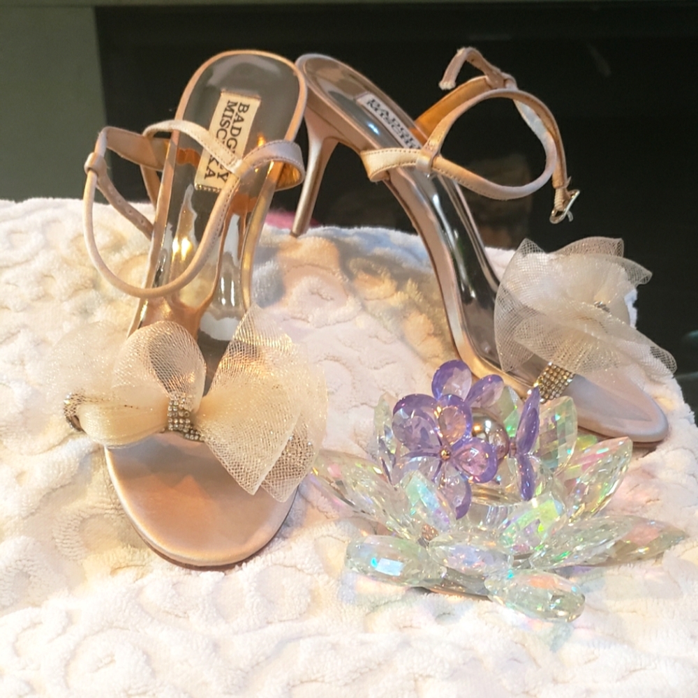 New (other than try-on) silver Badgley Mischka shoes!